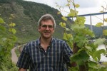 konrad hahn in the vineyards