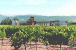 levendi winery