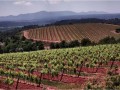 La Galiniere paysage