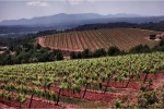 La Galiniere paysage