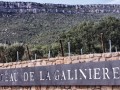 galiniere