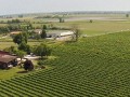 azienda agricola zaglia giorgio vineyards 05