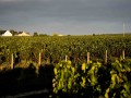 famille bougrier le vignoble min