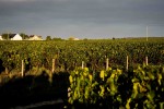 famille bougrier le vignoble min