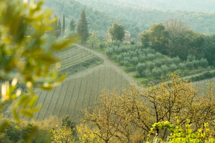 The Piemaggio estate and main house seen from the hills on the western side. Piemaggio Chianti Classico Tuscany. 1920px