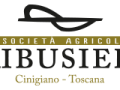 logo ribusieri dark