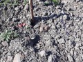 leindl soil