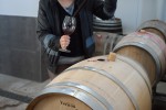 sonvida winemaker