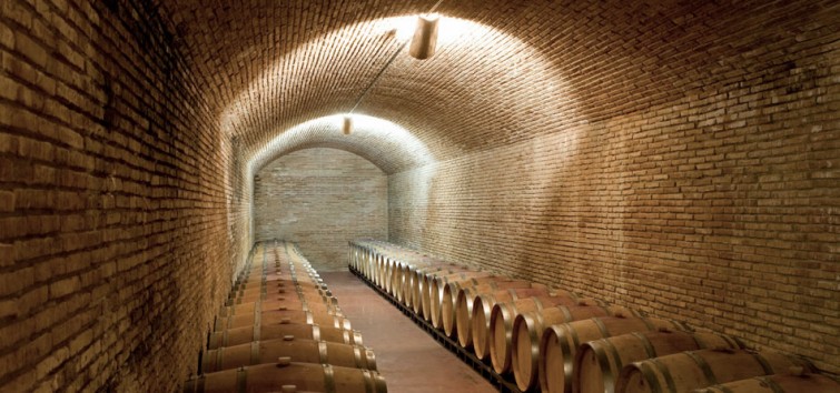 vinsacro cellar