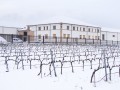 vinsacro winery