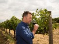 tamarack danny vineyard