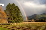 vineyards rainbow