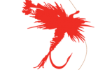 dryfly logo