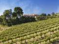 Azienda Zaccagnini