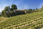 Azienda Zaccagnini