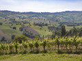 Paesaggio
