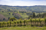 Paesaggio