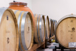 Ibizkus french oak barrels