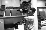 Ibizkus grapes 01