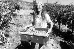 Ibizkus harvest 02