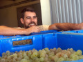 Ibizkus harvest 03