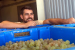 Ibizkus harvest 03