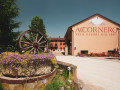accornero azienda