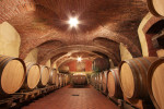 accornero cellar 01