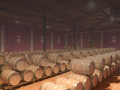 cellar