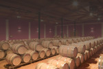 cellar