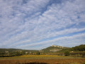 ferme blanche vineyards in fall