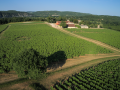 bouysses vineyard