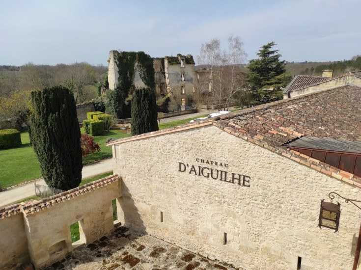 chateau d aiguilhe estate