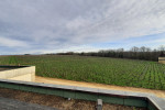 chateau d aiguilhe vineyards