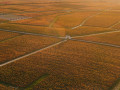 issan aerial view vineyards