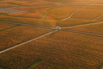 issan aerial view vineyards