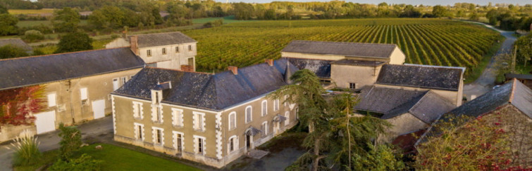 chateau de brize estate