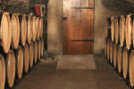 domaine boussey cellar
