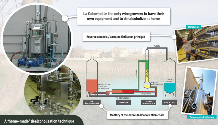 colombette dealcoholization