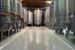 domus aurea winery