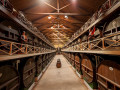 elgaitero cellar