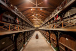 elgaitero cellar