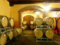 elio filippino barrels