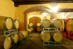 elio filippino barrels