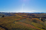 elio filippino vineyard