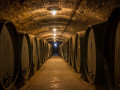 erdut cellar