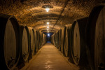 erdut cellar