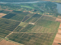 erdut vineyards aerial view