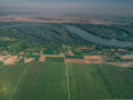 erdut vineyards aerial view