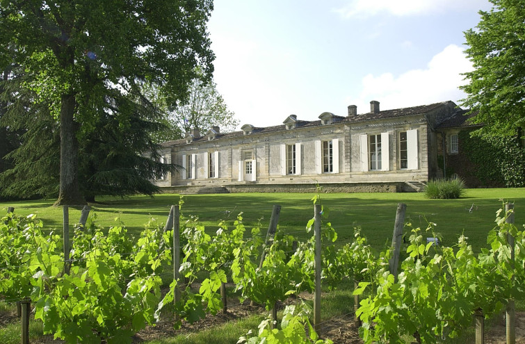 fombrauge vineyard